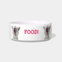 Cat bowl - FOOD!