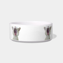 Cat bowl -  (no text)
