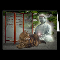 Cat-Buddha nature cards
