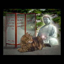 Cat-Buddha nature posters