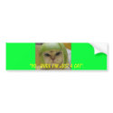Cat bumper sticker bumper stickers
