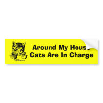 Cat Bumper Sticker Purrfection bumper stickers by purrfection Cat Bumper Sticker Purrfection bumper stickers
