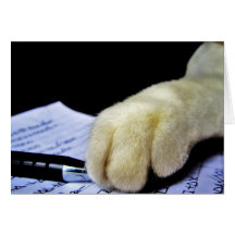 Cat Burglar Greeting Card