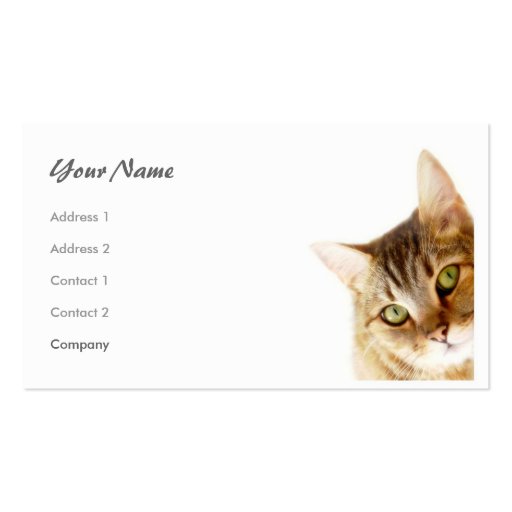 Cat Business Card Templates (front side)