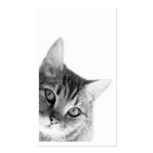 Cat Business Card Templates (back side)