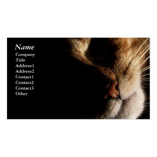 Cat - Business cards (front side)