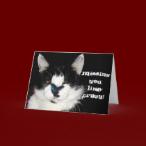 CAT & BUTTERFLY Missing You Card