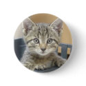 Cat buttons by Proud_Army_Wife1977 Cat buttons