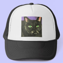 cat by eric ginsburg hats