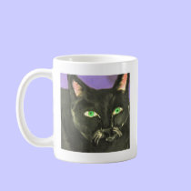 cat by eric ginsburg mugs