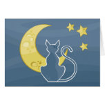 Cat by night cards