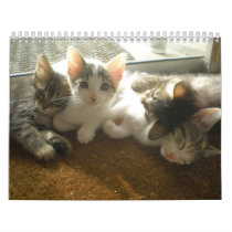 cat cal calendars