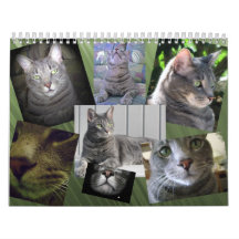 Cat Calendar