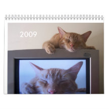 Cat Calendar 2009