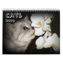 Cat Calendar 2010