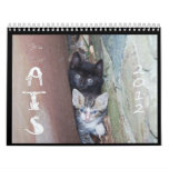 Cat calendar 2012