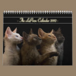 Cat Calendar 2012 calendars