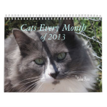 Cat Calendar 2013  featuring Socks