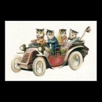 Cat Car Poster posters