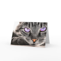 CAT cards