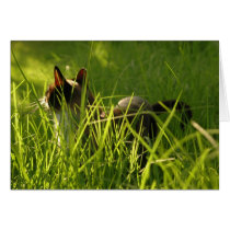 Cat Card