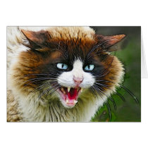 CAT cards