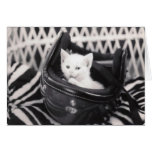 Cat Card - Blank