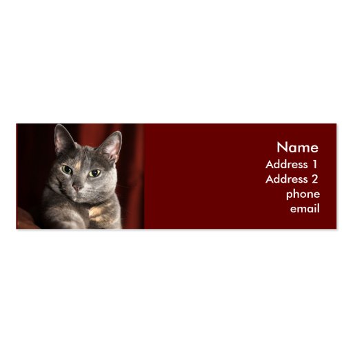 Cat card business card template (front side)