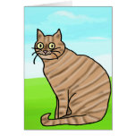 Cat Cards