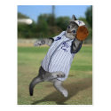 Cat Catcher in the Outfield! Postcards