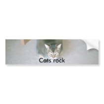 Cat, Cats rock bumper stickers