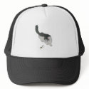 Cat Chasing Cricket hats