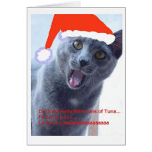 Cat Christmas Card 2