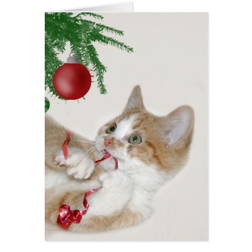 Cat Christmas fun Greeting Cards