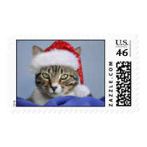 Cat Christmas Postage stamps