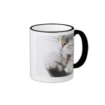 Cat cleaning paw mugs