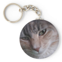 Cat close-up keychain