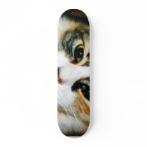 Cat Closeup skateboards by lifesphere Cat Closeup skateboards
