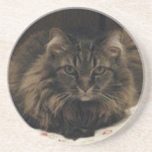 Cat  Coaster