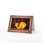 Cat Condolence Card