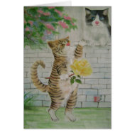 cat courtship card