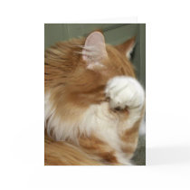 Cat Covering Eyes cards