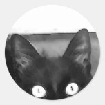 Cat Curiosity Round Stickers
