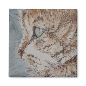 Cat Daze Magnet magnet
