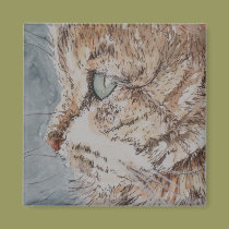 Cat Daze Magnet magnets