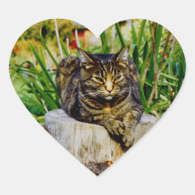 CAT DE LA ACTITUD CALCOMANÍAS CORAZONES PERSONALIZADAS