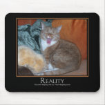 Cat Demotivator Mouse Pad