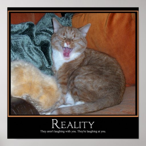 Cat Demotivator Poster Zazzle