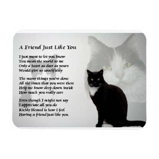 Cat Design Friend Poem Magnet 