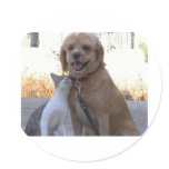 Cat Dog Love Stickers